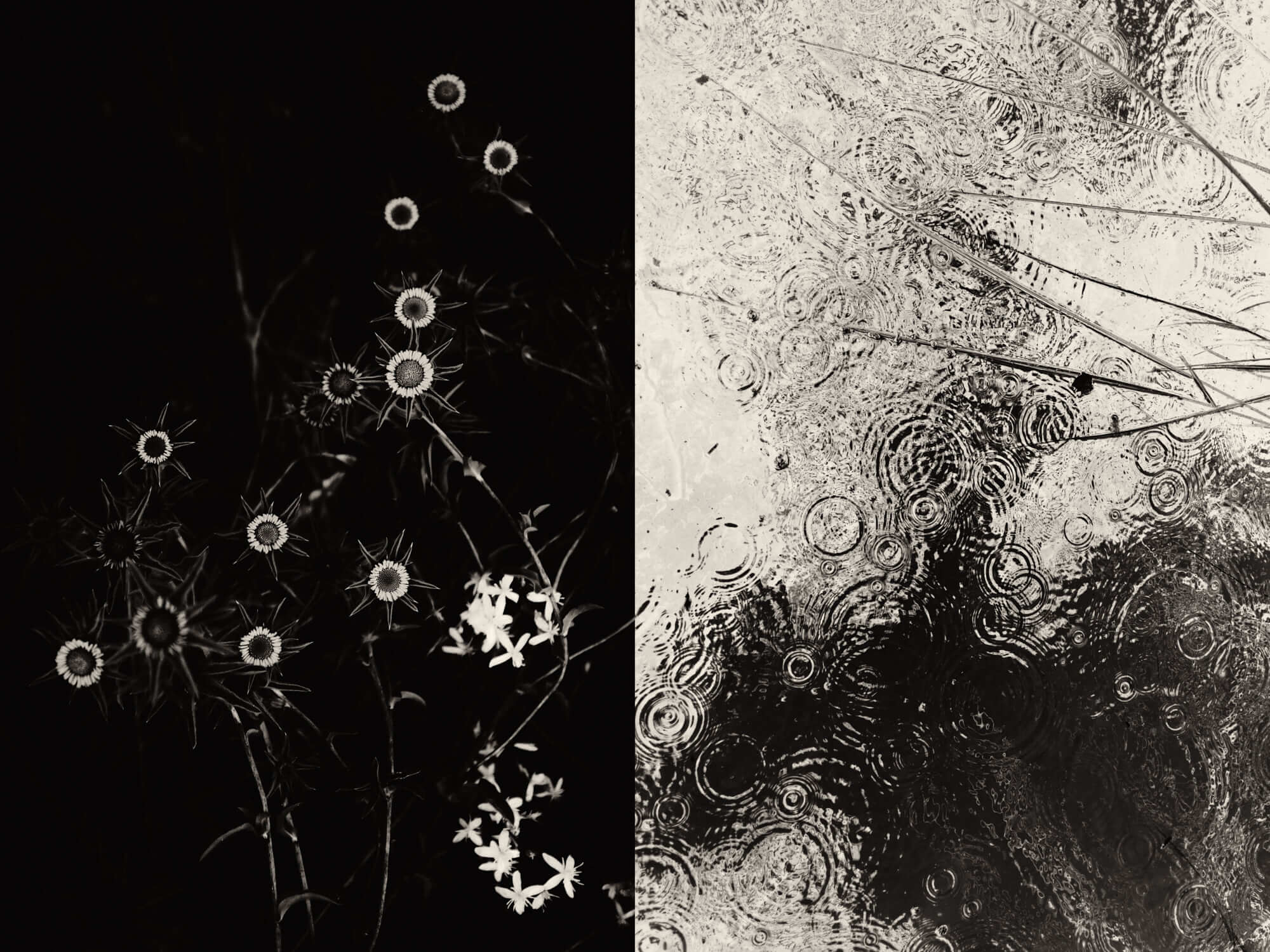 Image of artwork