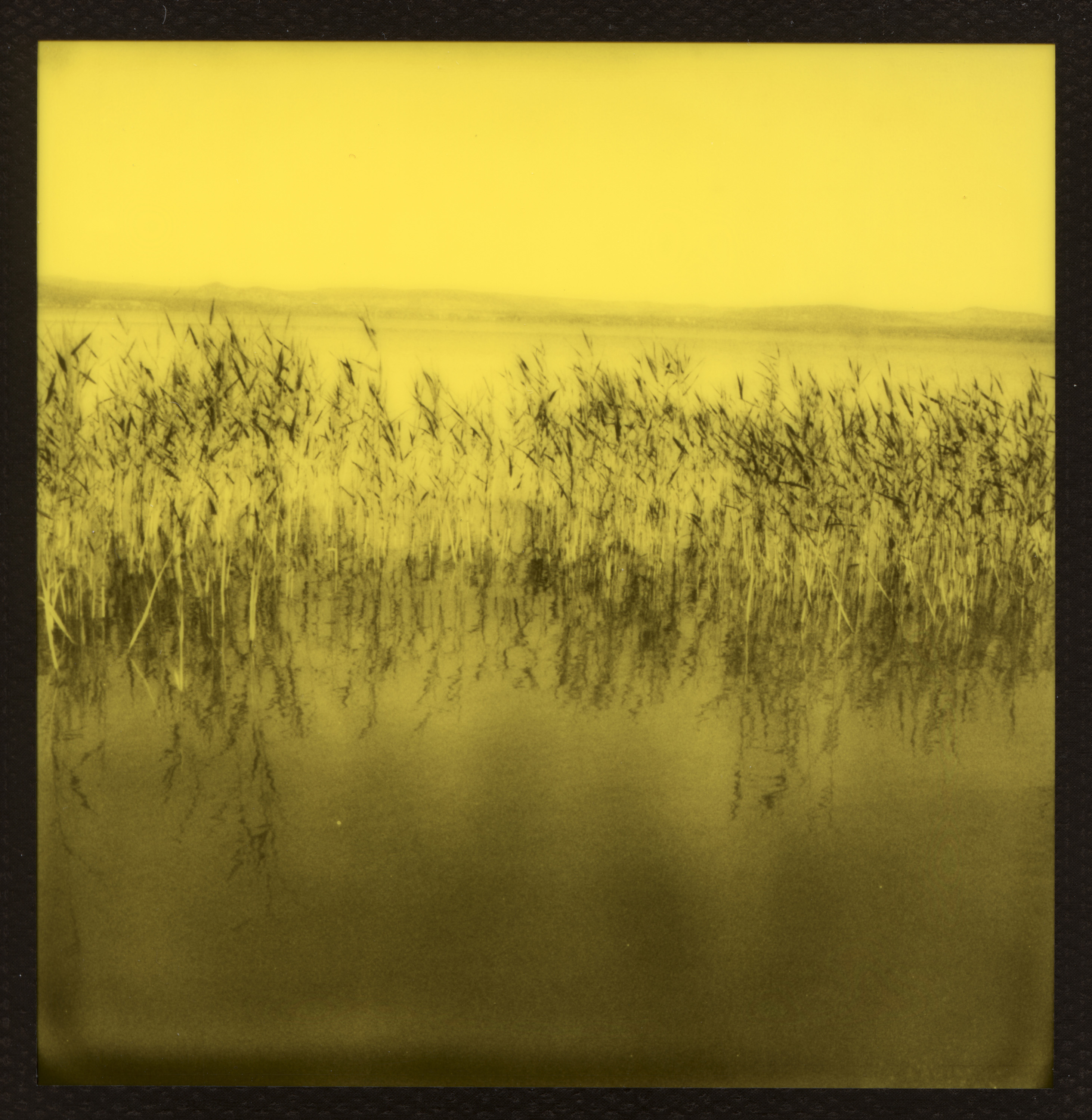 Image of artwork