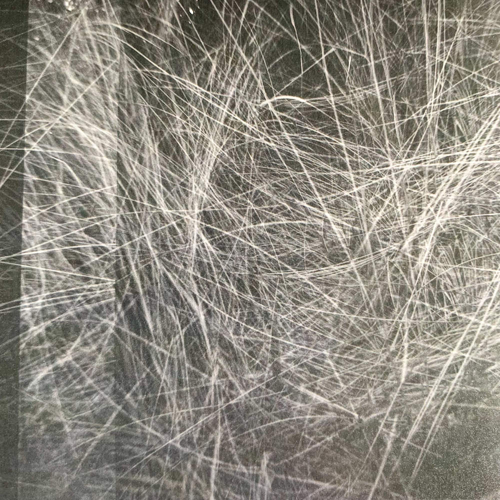 Image of Photo